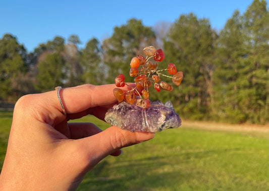 Tree Of Life Carnelian Amethyst Cluster Base