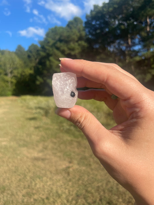Mini Rose Quartz Rick Buddy #3