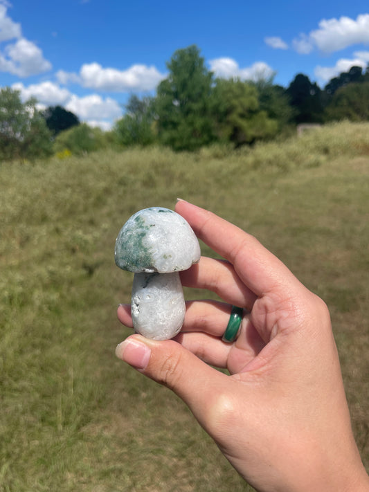Druzy Large Moss Agate Mushroom #2