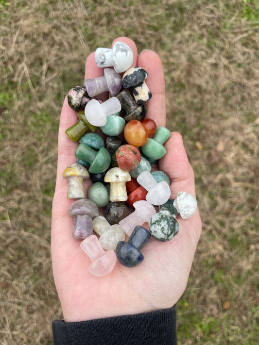 Mini Mushroom Carvings ( intuitively chosen)