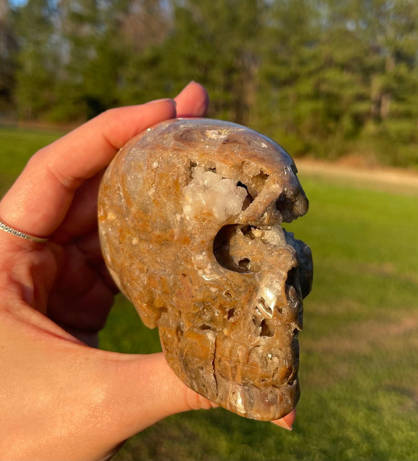 Unknown Material- Gorgeous Druzy Skull🤎