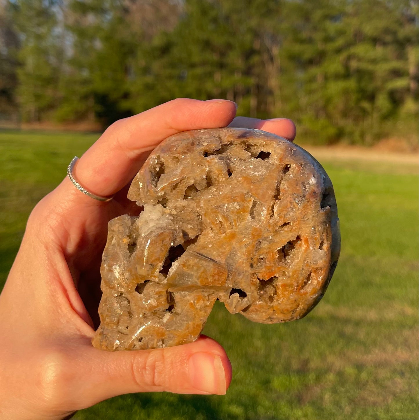 Unknown Material- Gorgeous Druzy Skull🤎