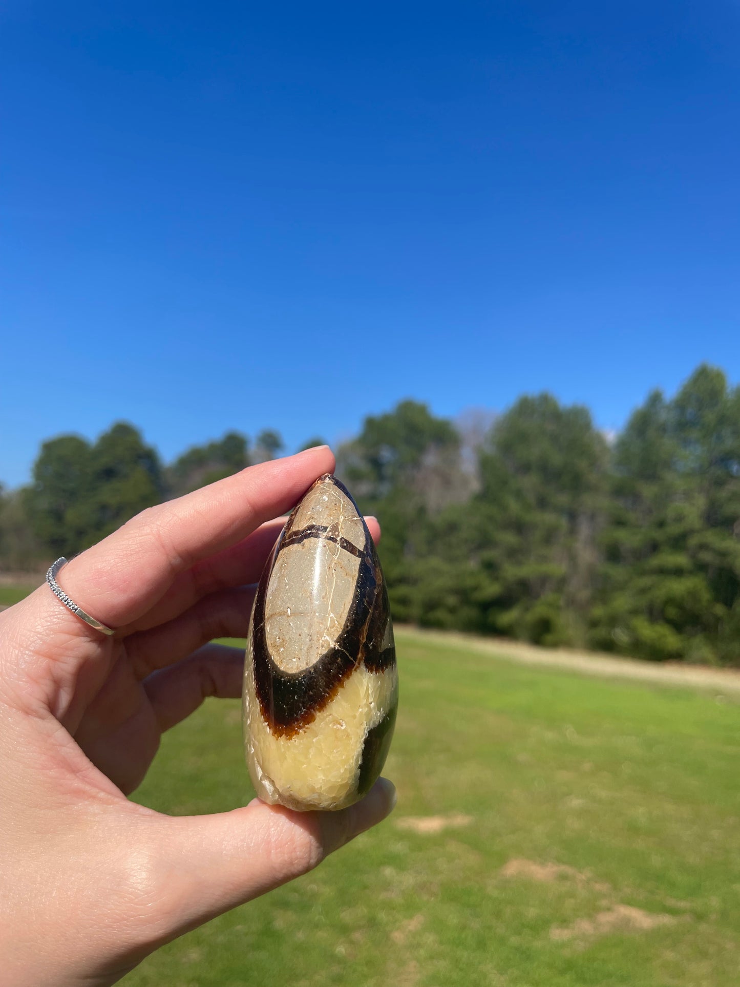 Druzy UV reactive Septarian Freeform #3