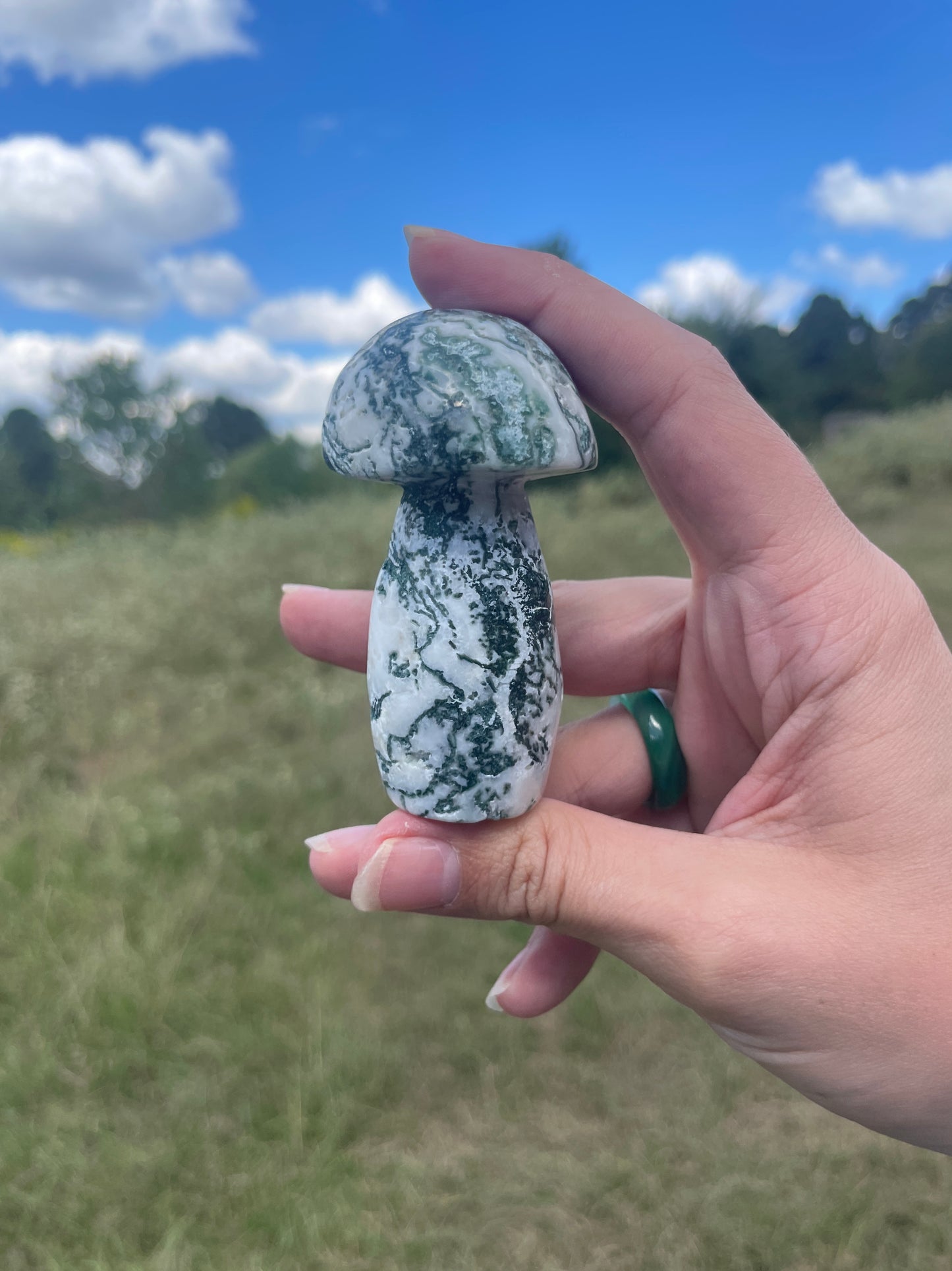 Large Moss Agate Mushroom #1