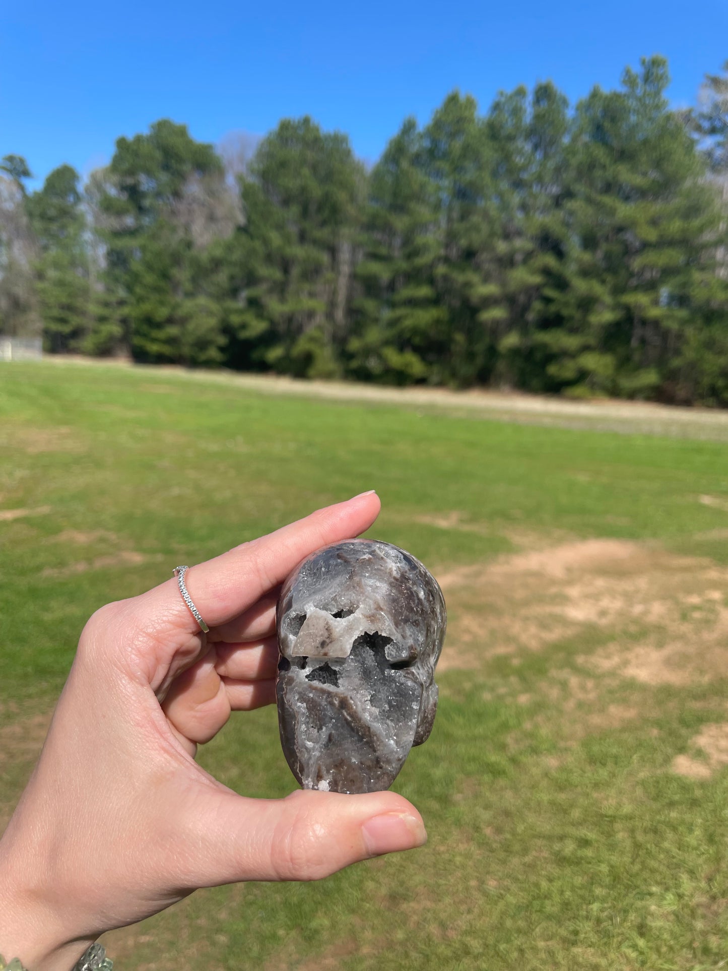 Druzy Sphalerite Skull #2🖤