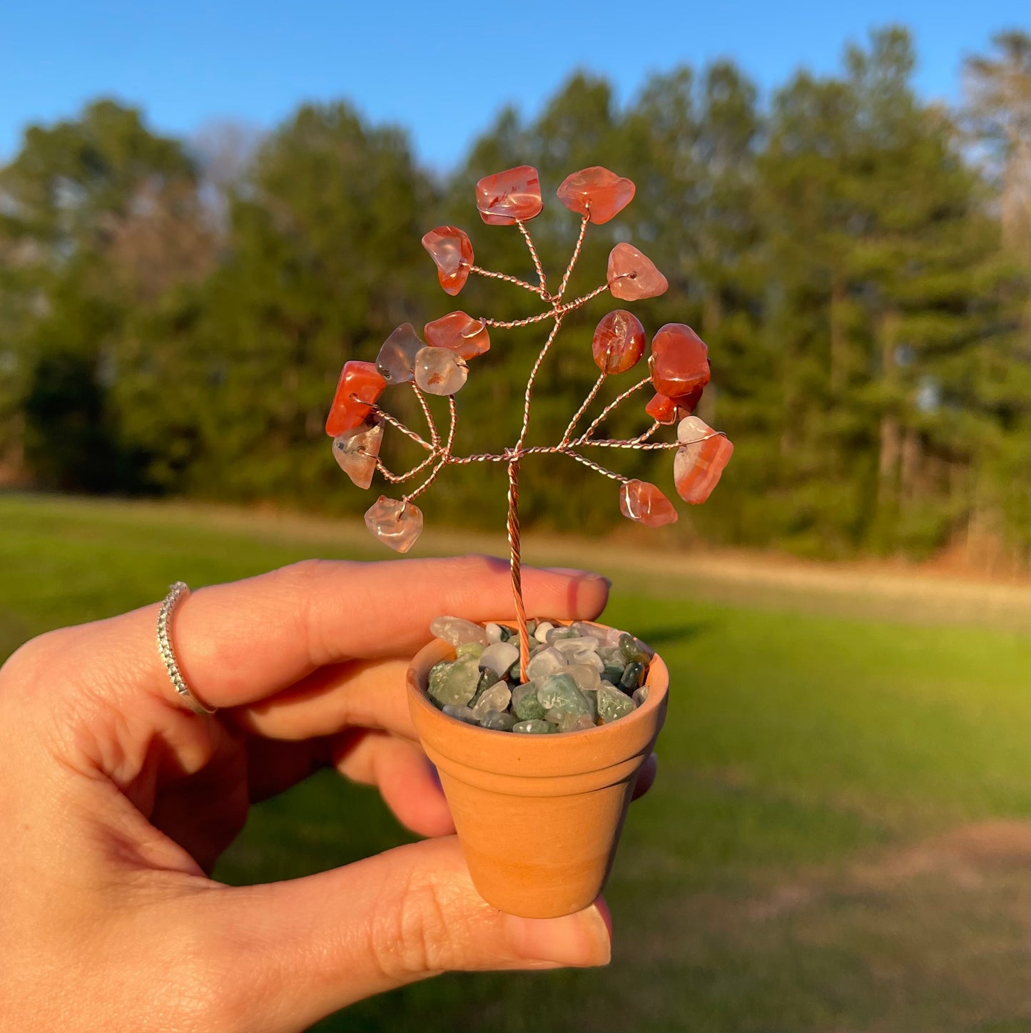 Mini Plant Carnelian / Moss Agate