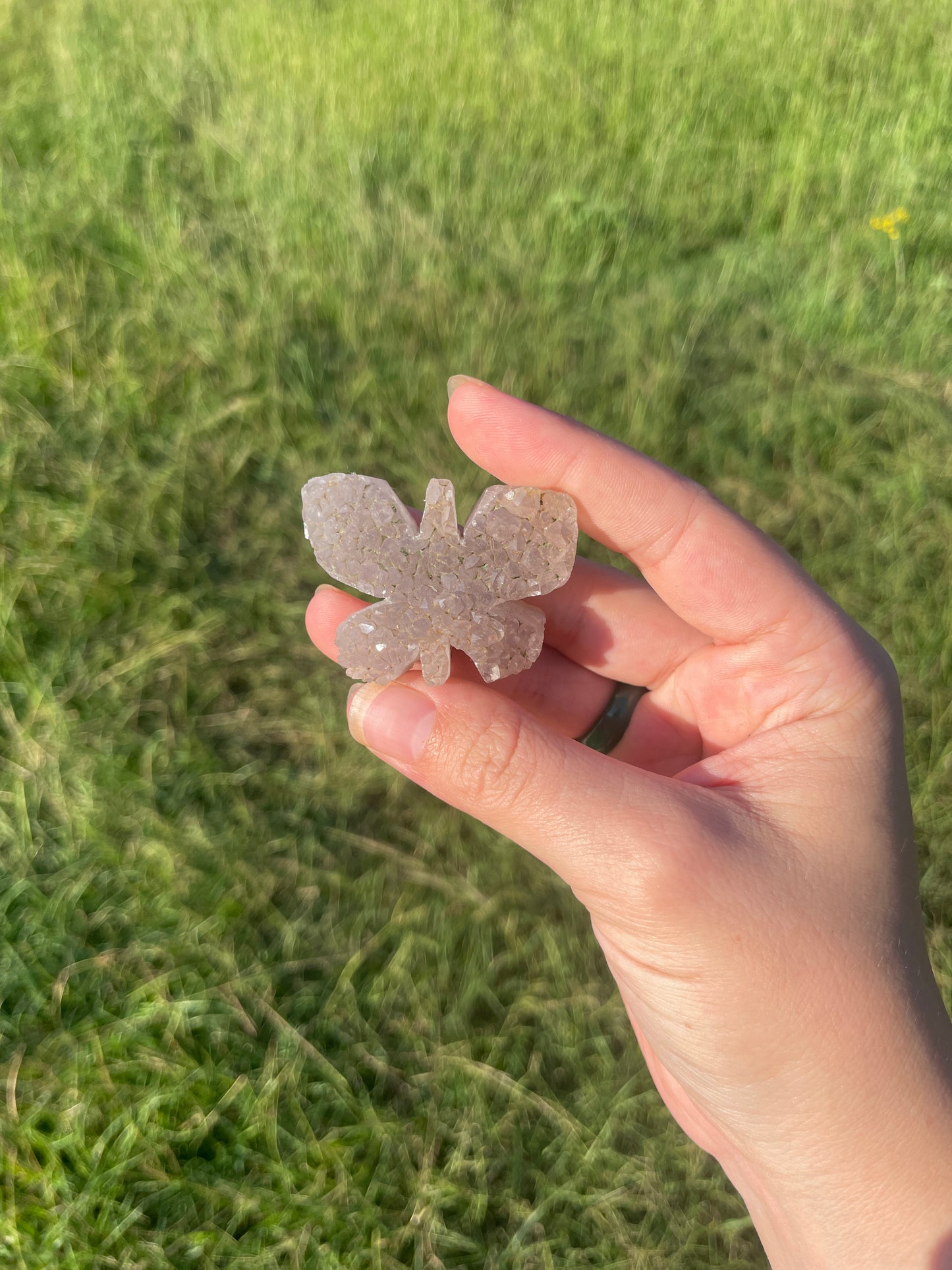 Druzy Amethyst cluster Butterfly Carving 🦋