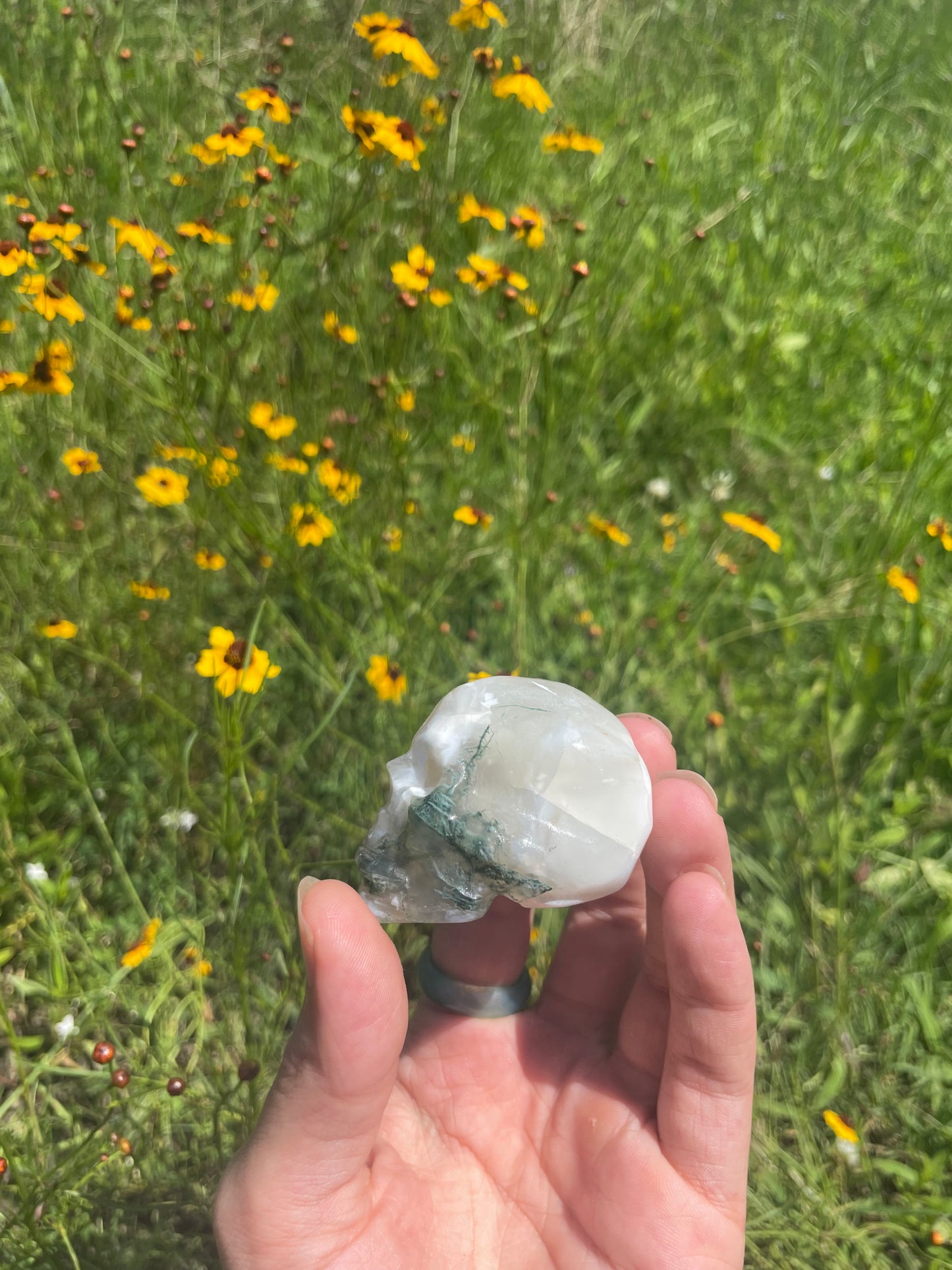 Moss Agate Druzy Skull small Carving