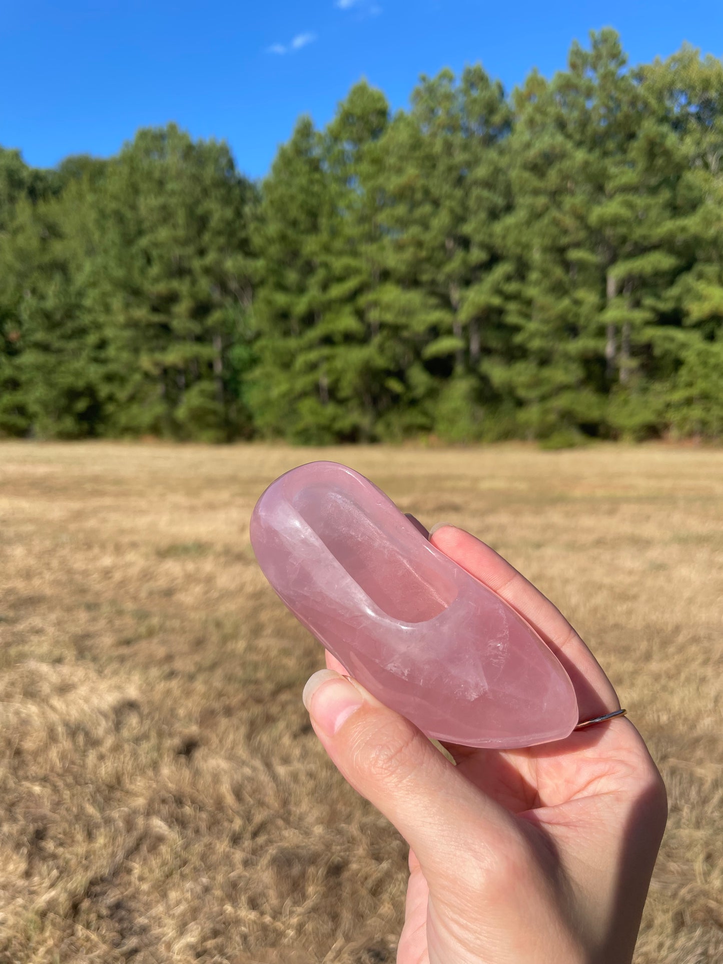 Rose Quartz Barbie/Cinderella Heel