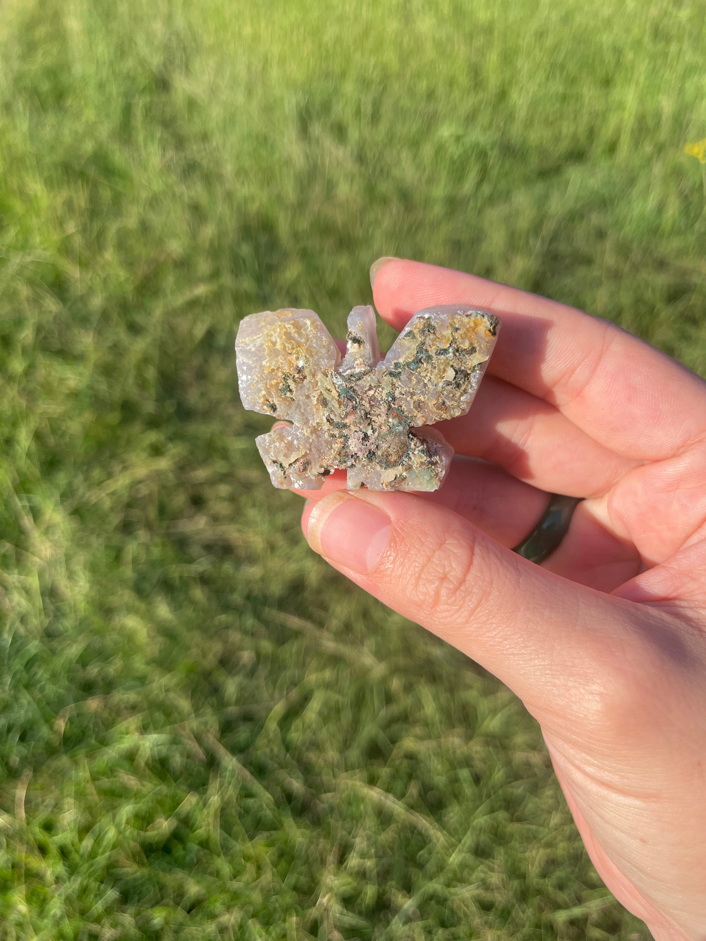 Druzy Amethyst cluster Butterfly Carving 🦋