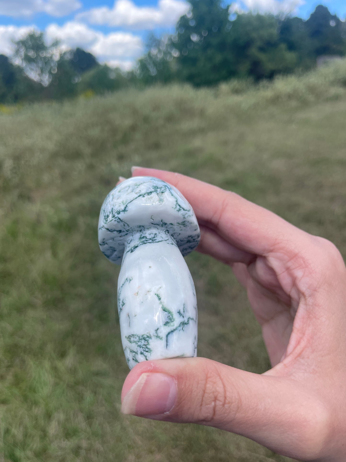 Large Druzy Moss Agate mushroom carving #3
