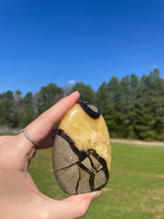 UV reactive Septarian Freeform #5