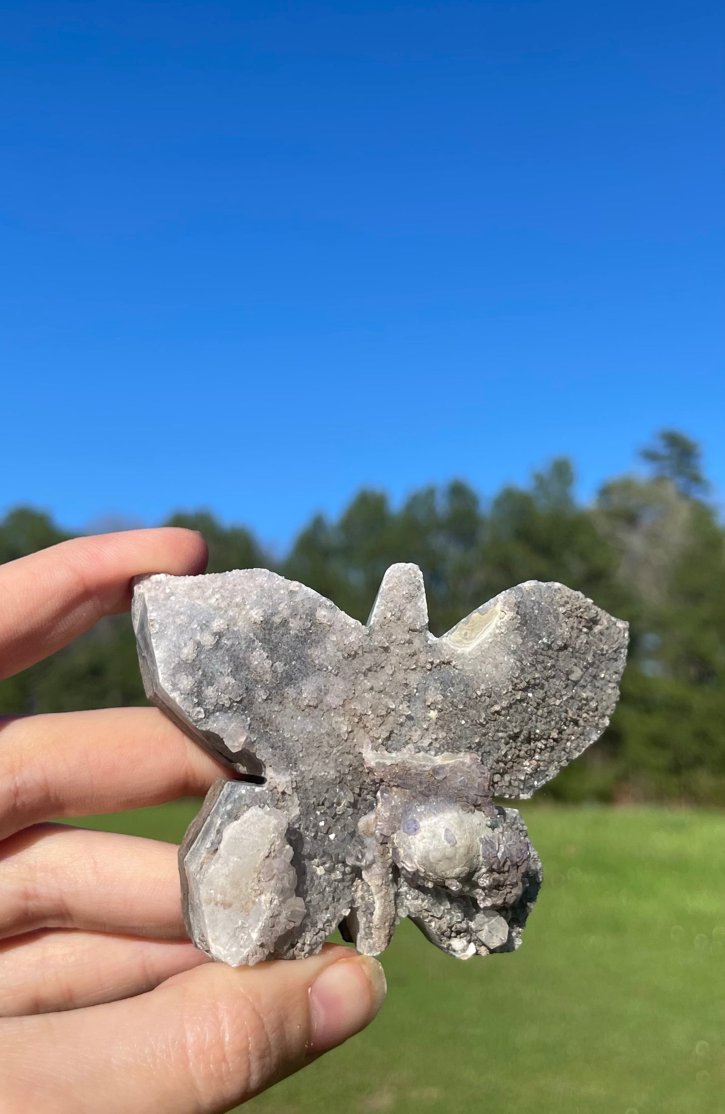 Druzy Amethyst Butterfly Cluster Carving 🦋