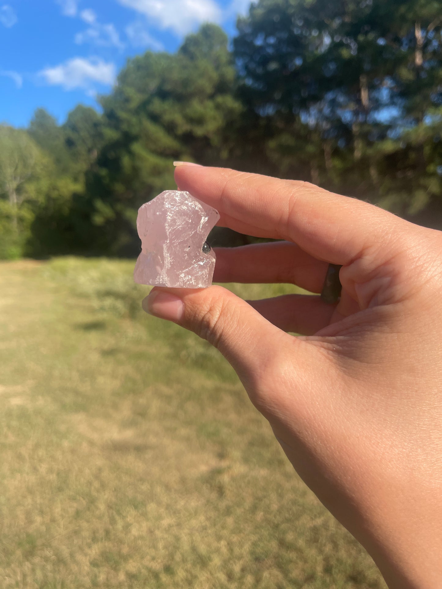 Mini Rose Quart rock buddy #2