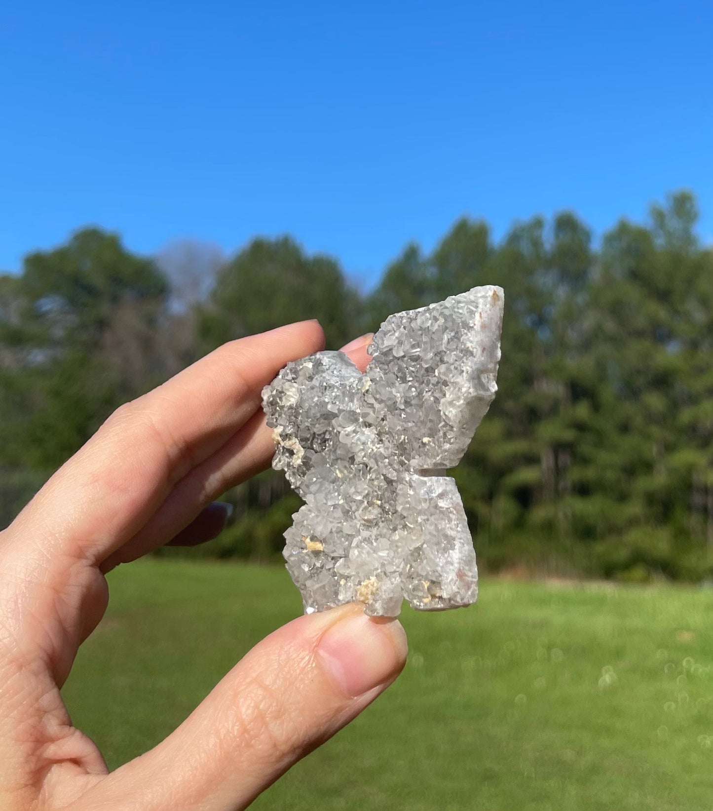 Druzy Amethyst Butterfly Carving 🦋