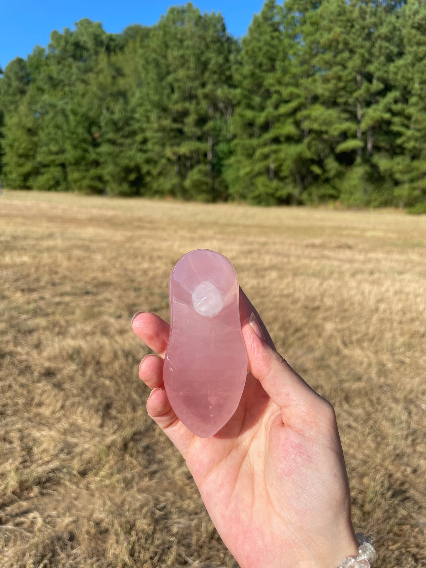 Rose Quartz Barbie/Cinderella Heel