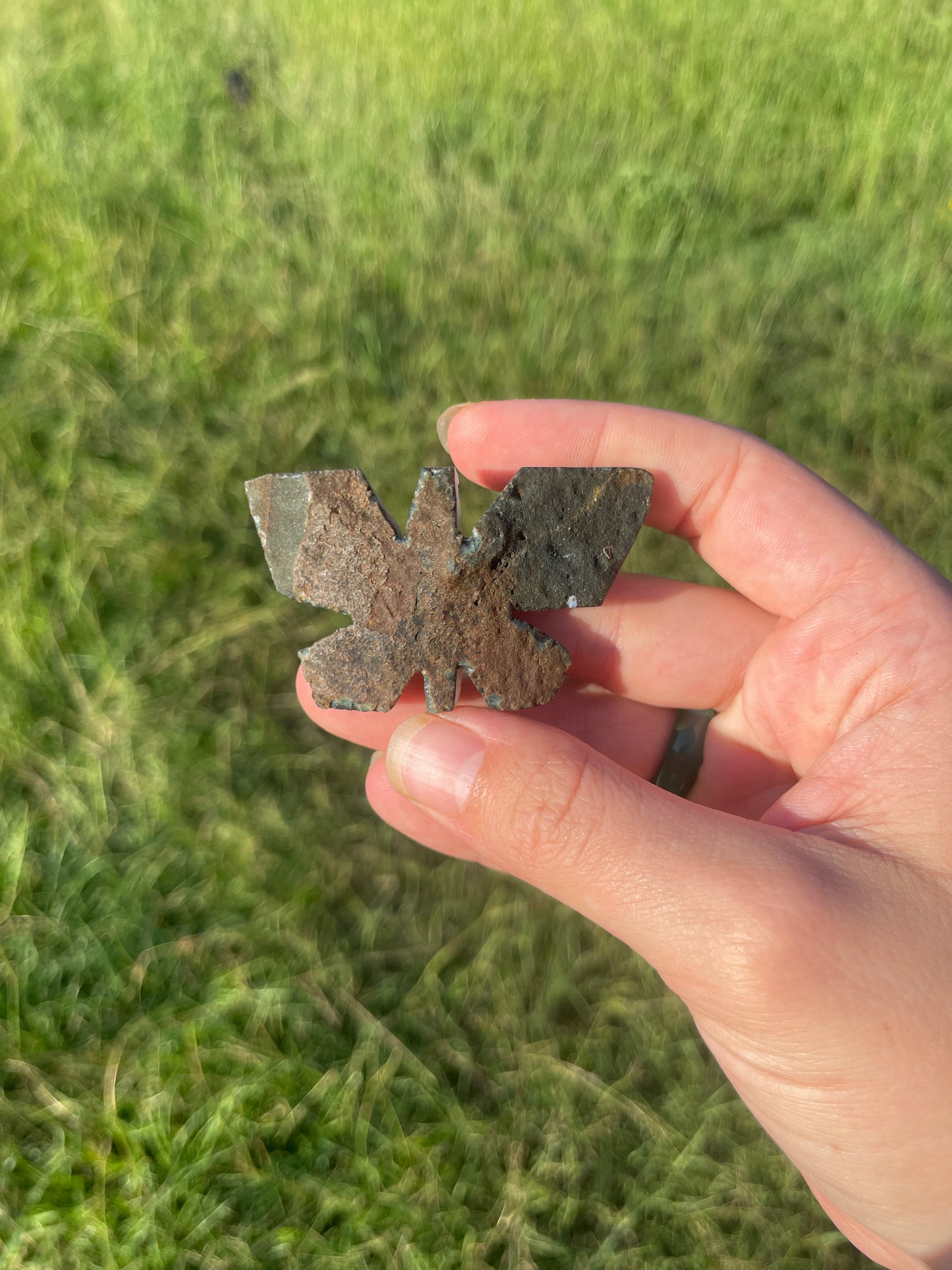 Druzy Amethyst cluster Butterfly Carving 🦋
