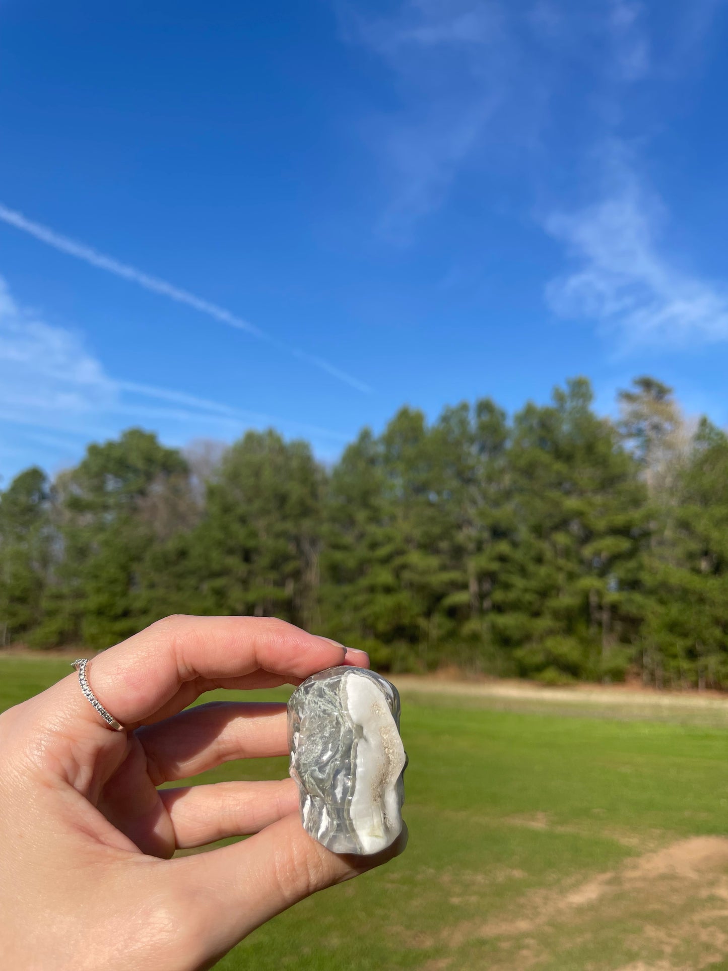 Druzy Moss Agate Small Skull