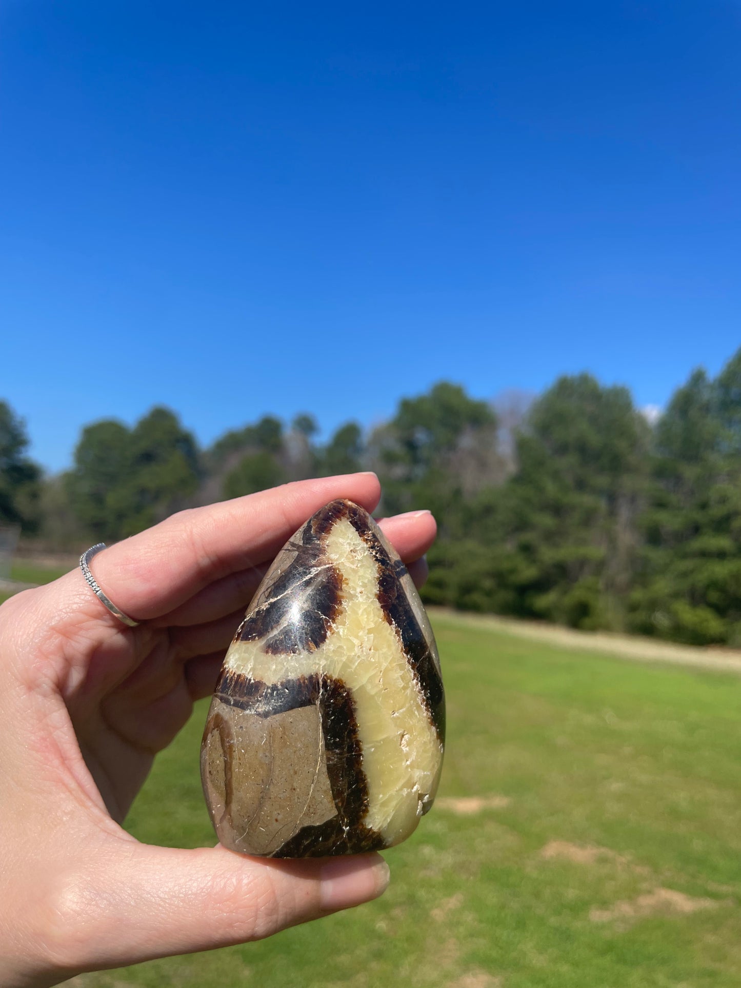 Druzy UV reactive Septarian Freeform #3