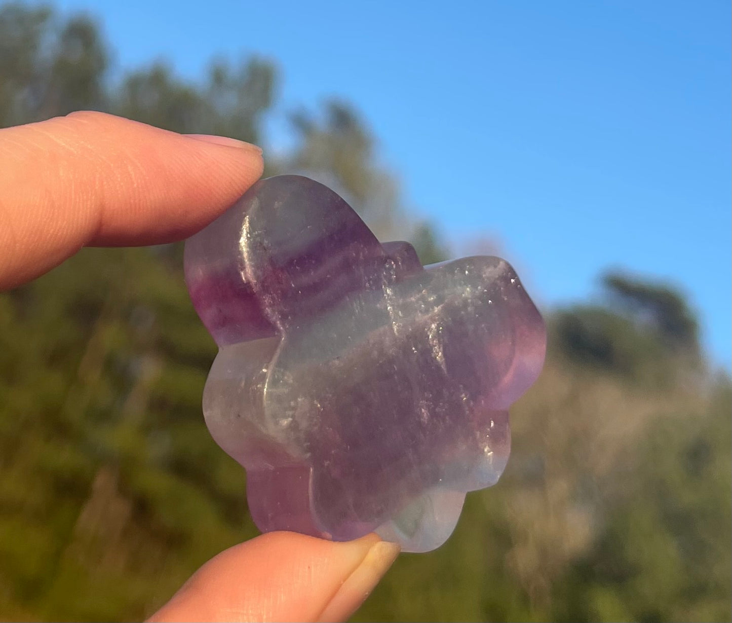 Imperfect Mini Fluorite Butterfly Carving🦋