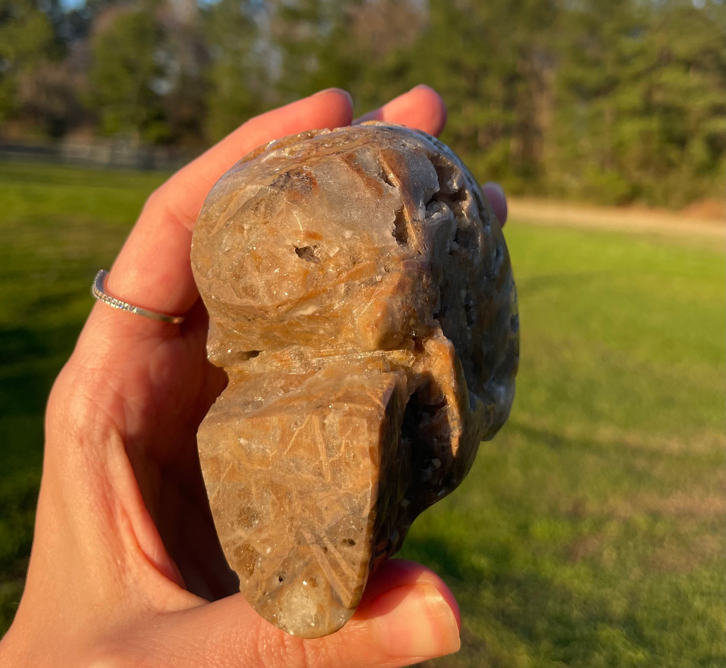 Unknown Material- Gorgeous Druzy Skull🤎