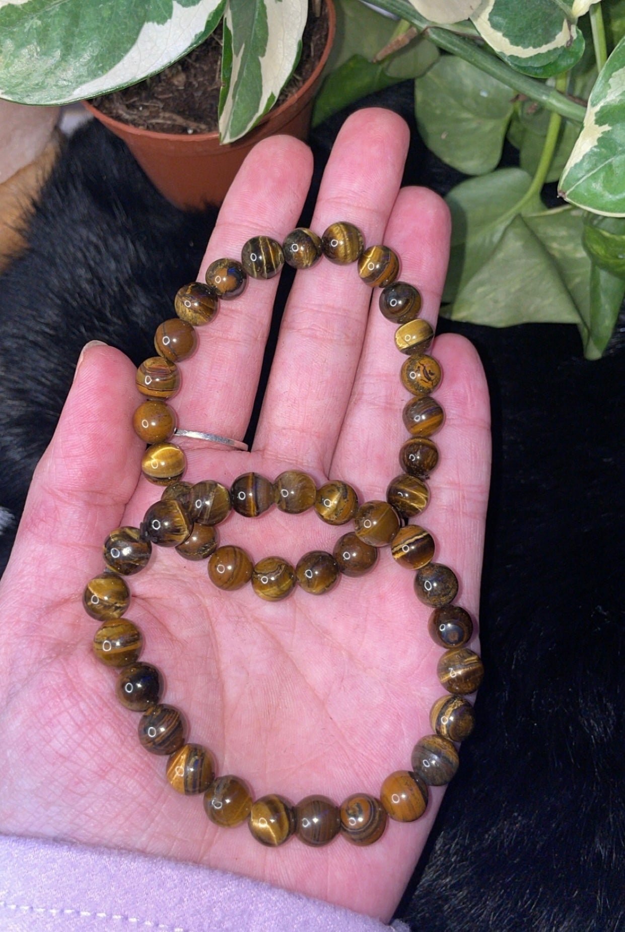 Tigers Eye beaded bracelet