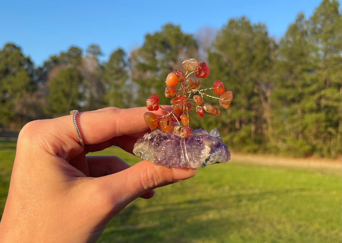 Tree Of Life Carnelian Amethyst Cluster Base