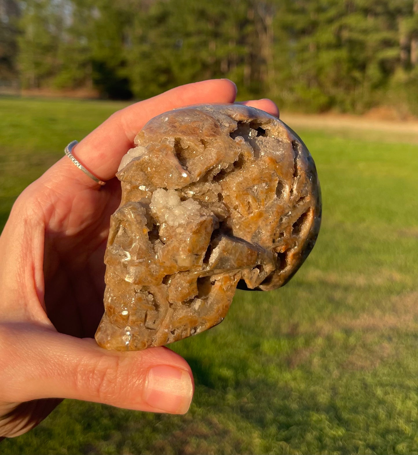 Unknown Material- Gorgeous Druzy Skull🤎