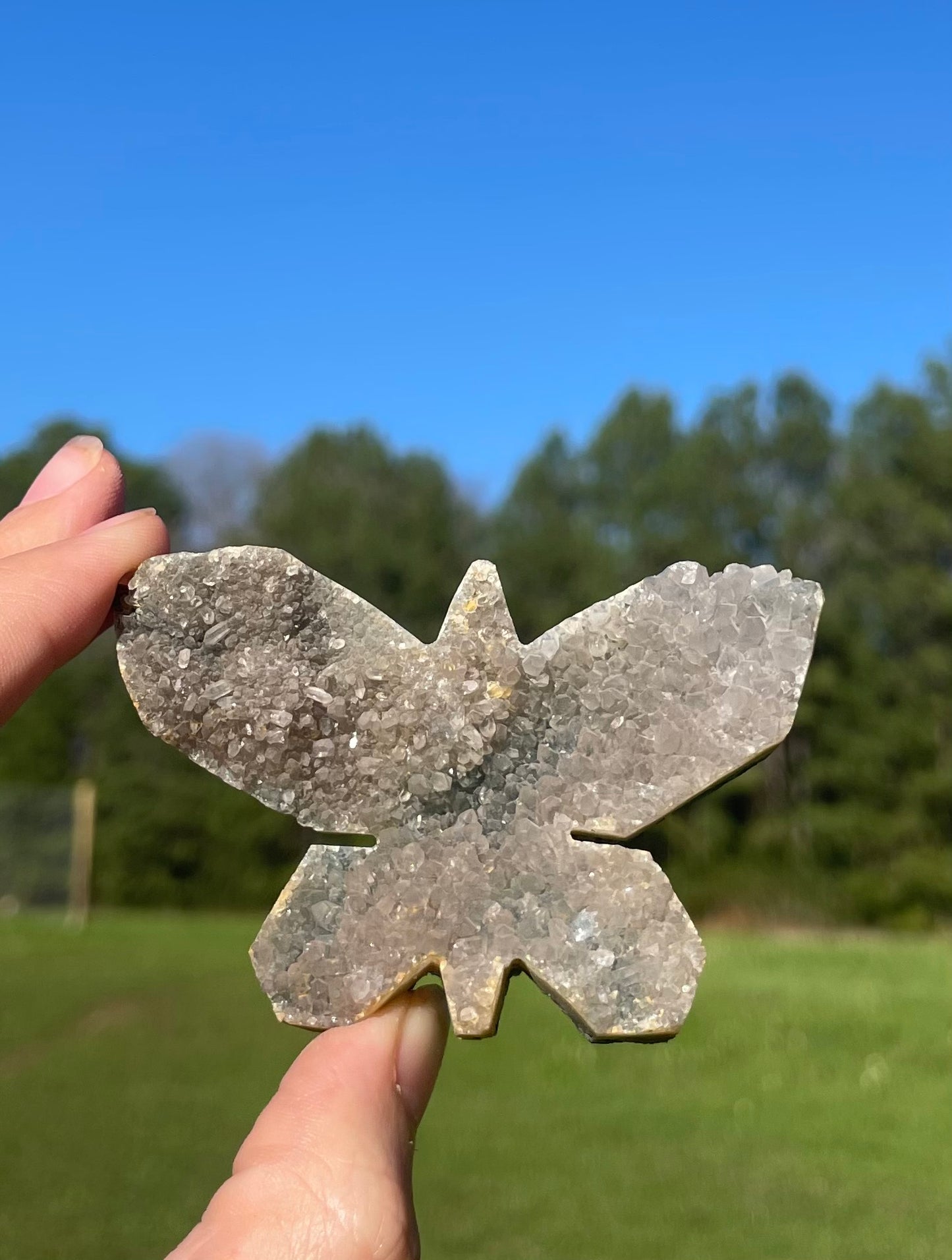 Druzy Amethyst Butterfly Carving 🦋