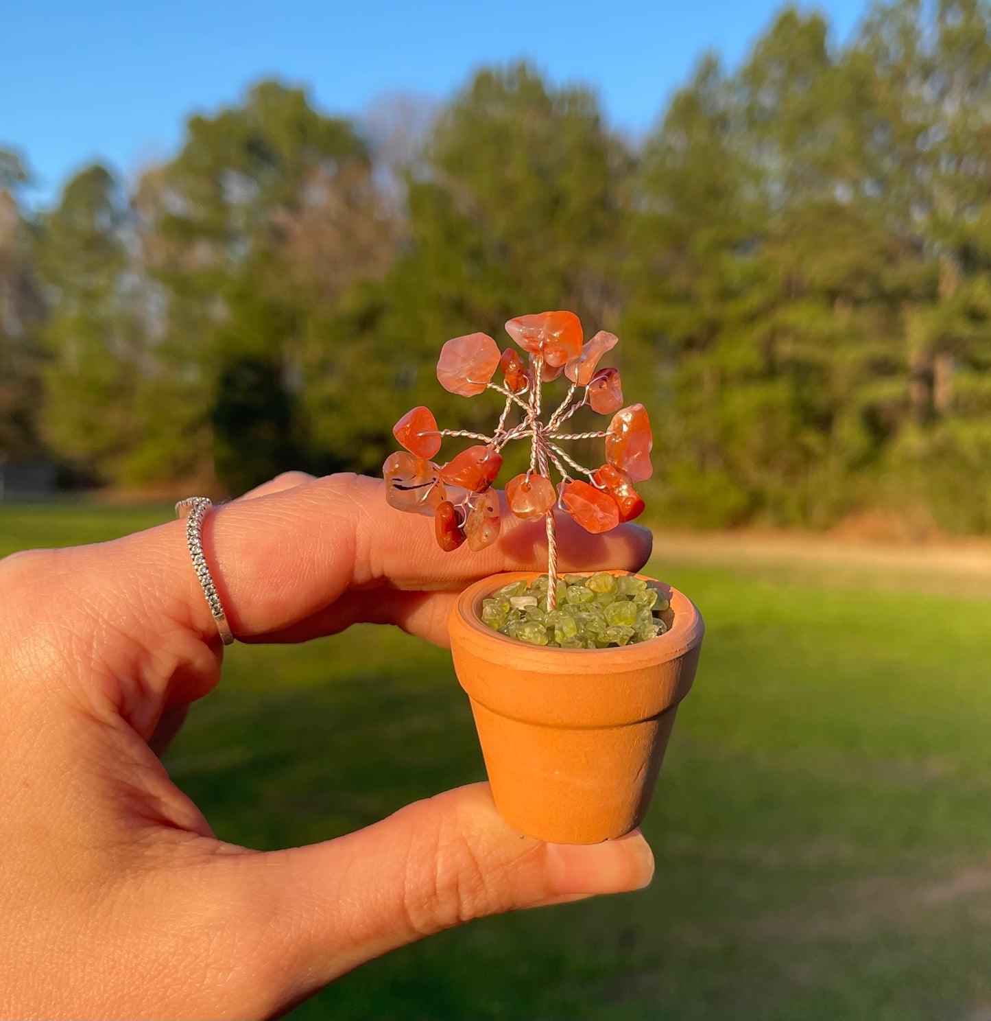 Mini Plant Carnelian / Peridot