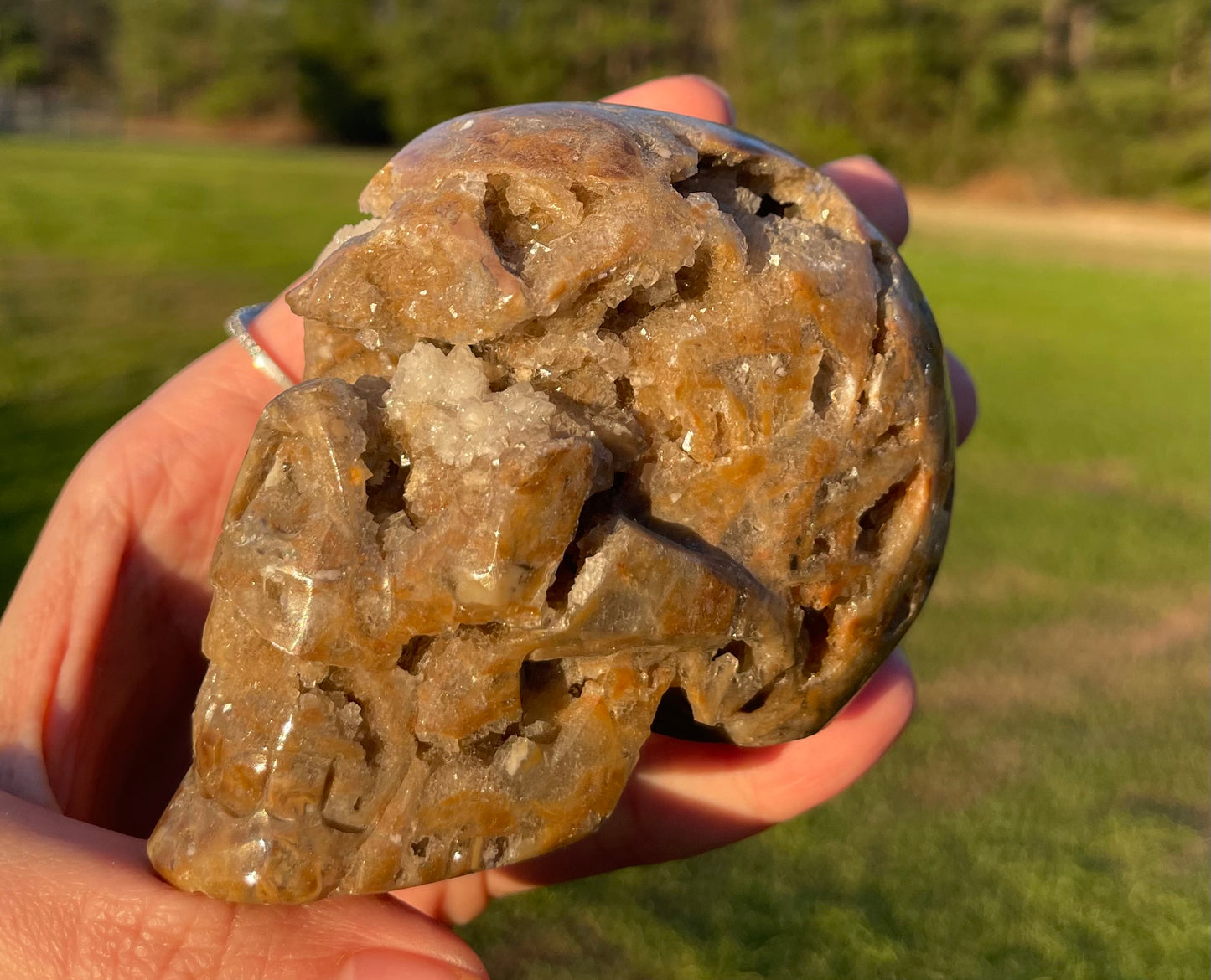 Unknown Material- Gorgeous Druzy Skull🤎