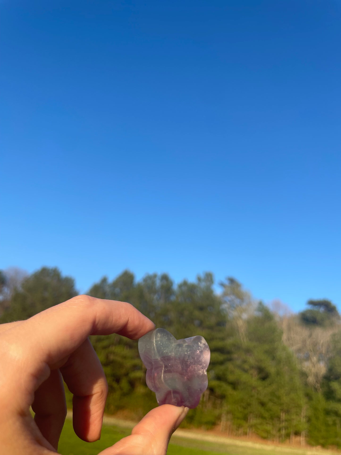 Mini Fluorite Butterfly Carving 🦋