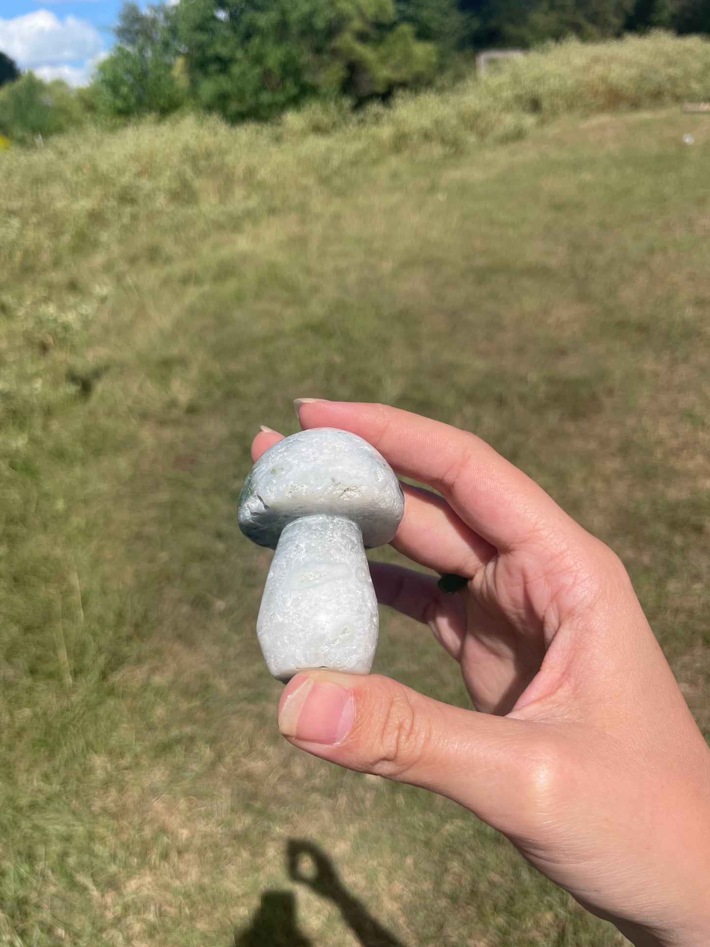 Druzy Large Moss Agate Mushroom #2