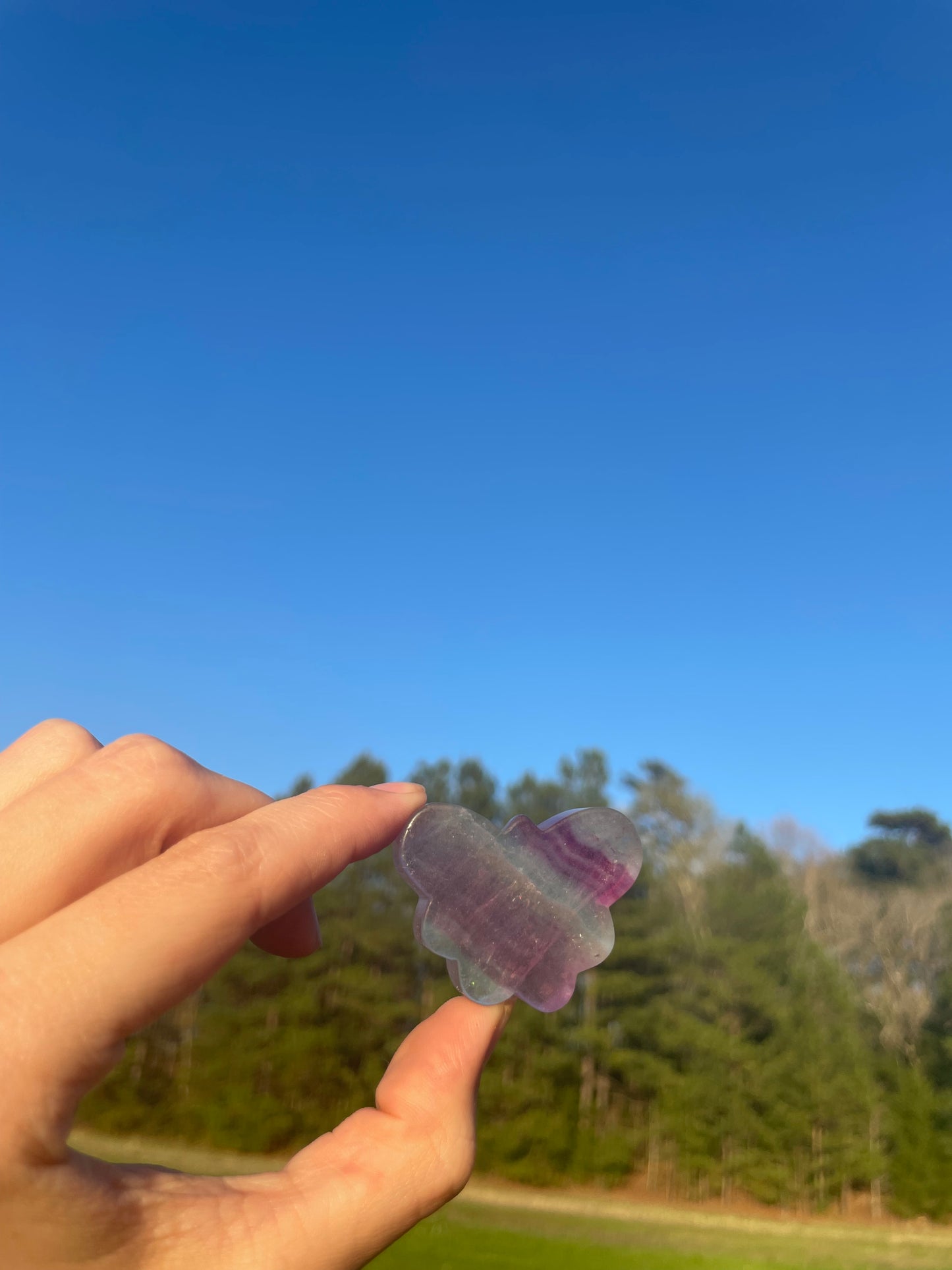 Imperfect Mini Fluorite Butterfly Carving🦋