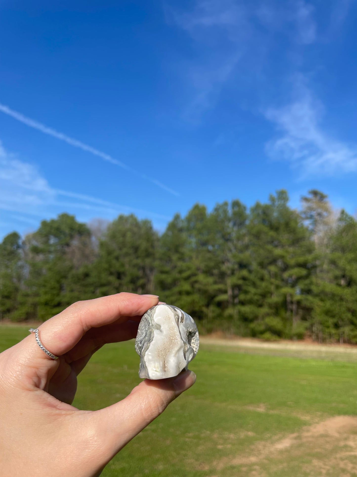 Druzy Moss Agate Small Skull