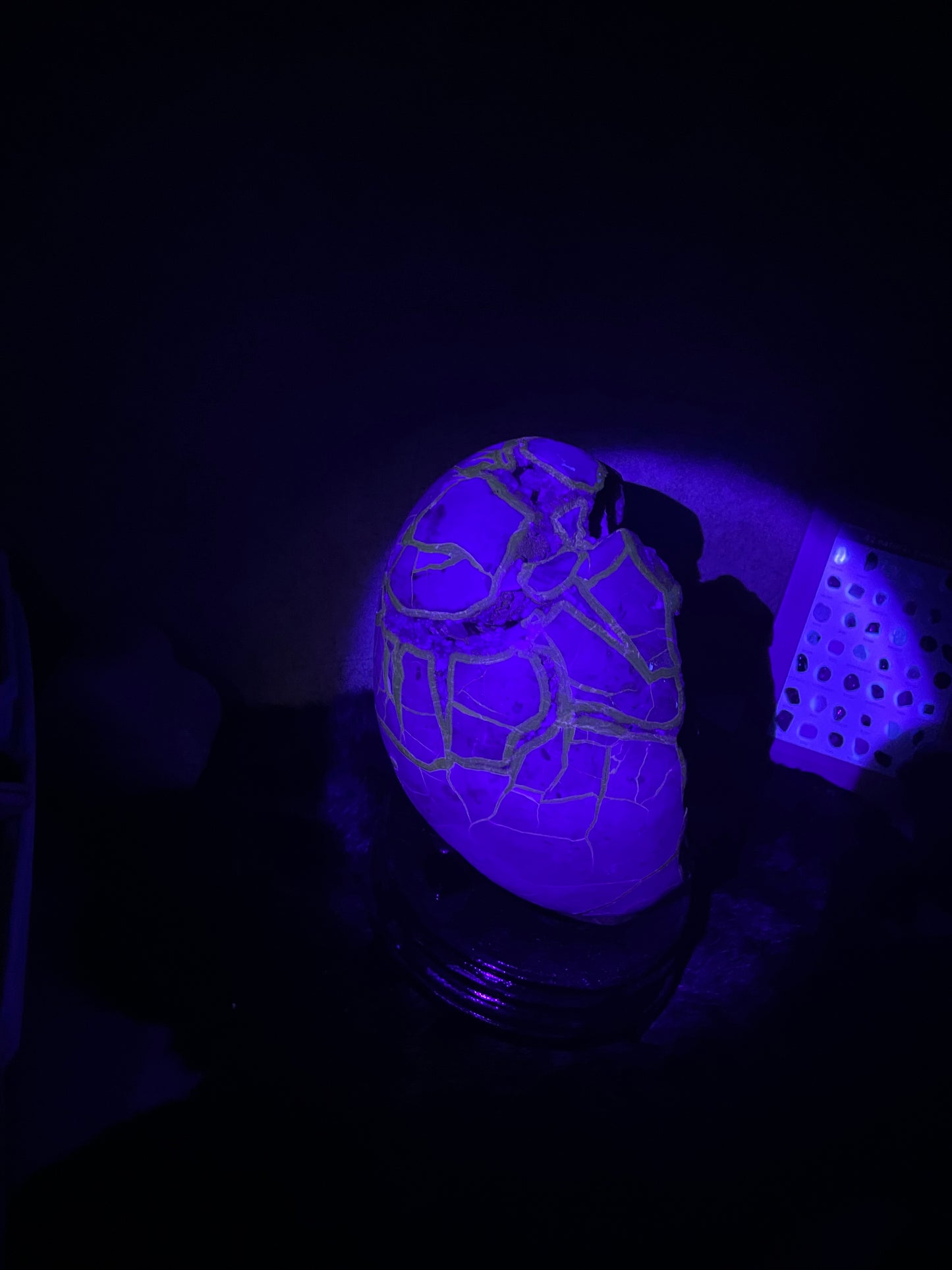 UV Reactive XXL Druzy Septarian damaged (Large Dragon Egg) w/ Stand.