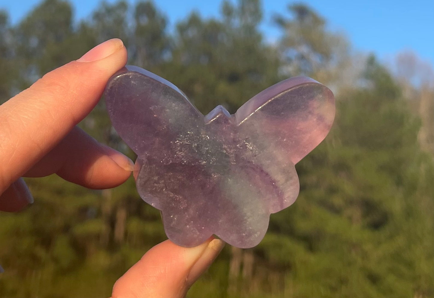 Imperfect Fluorite Butterfly Carving🦋