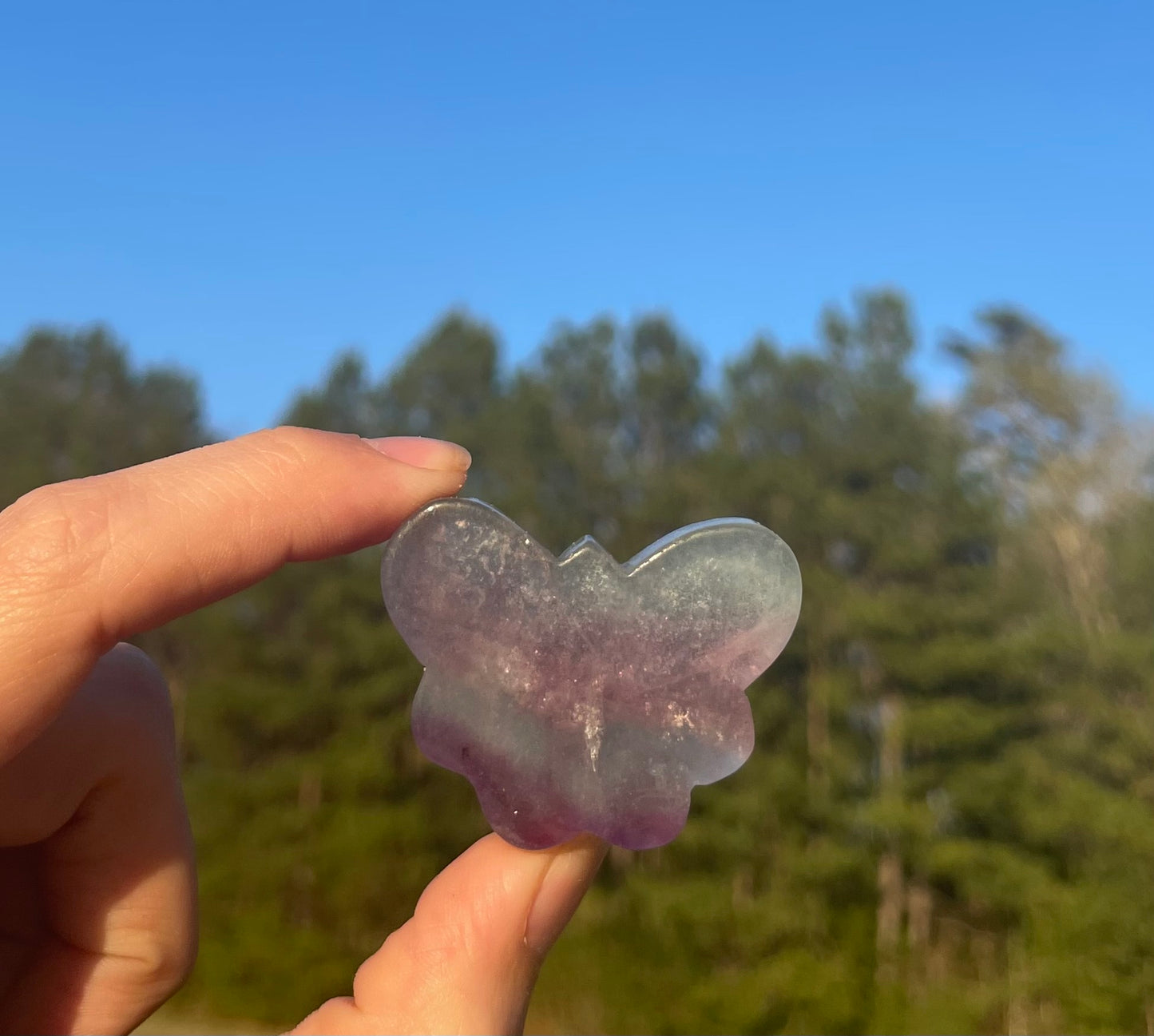 Mini Fluorite Butterfly Carving 🦋