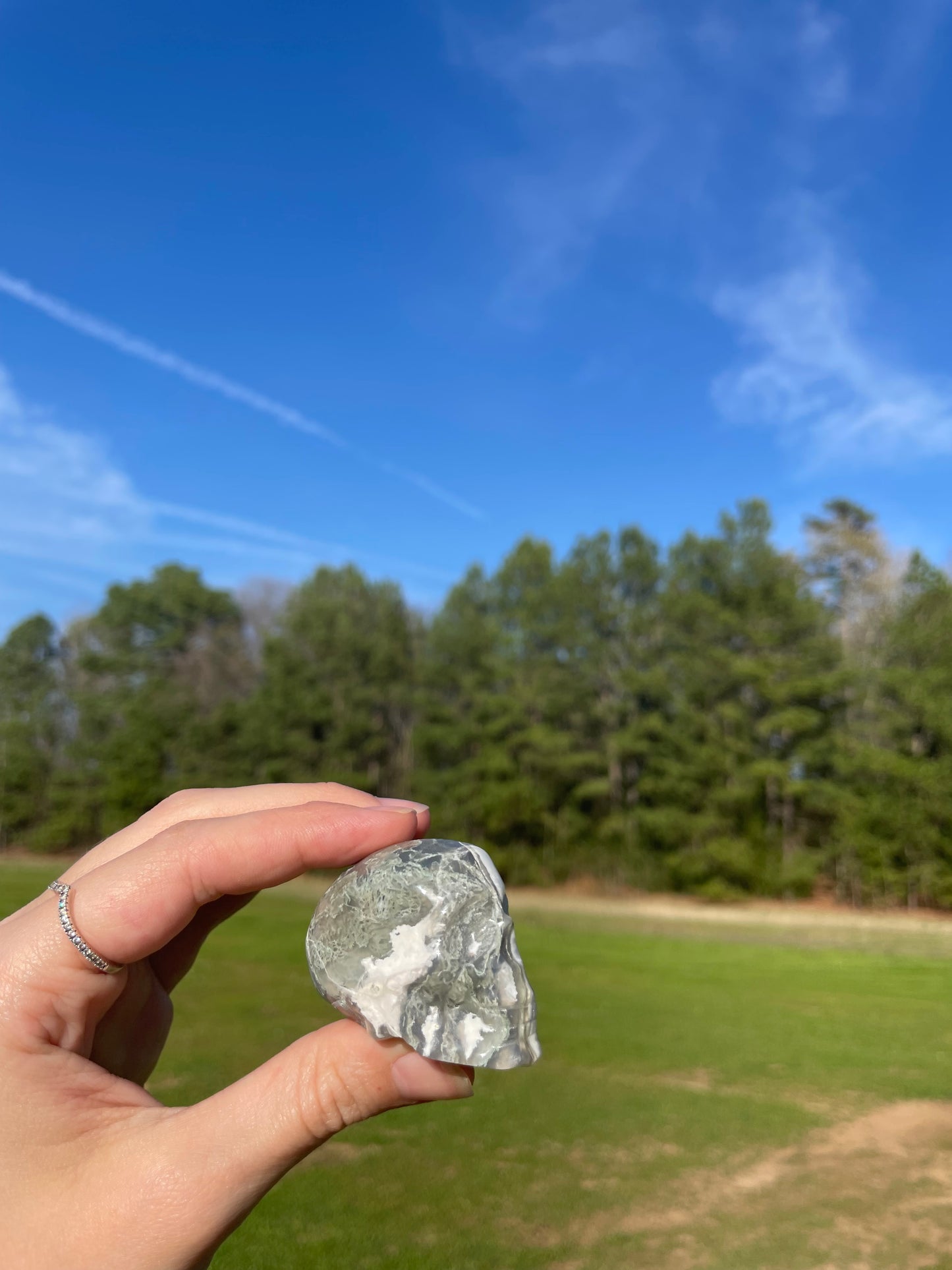 Druzy Moss Agate Small Skull