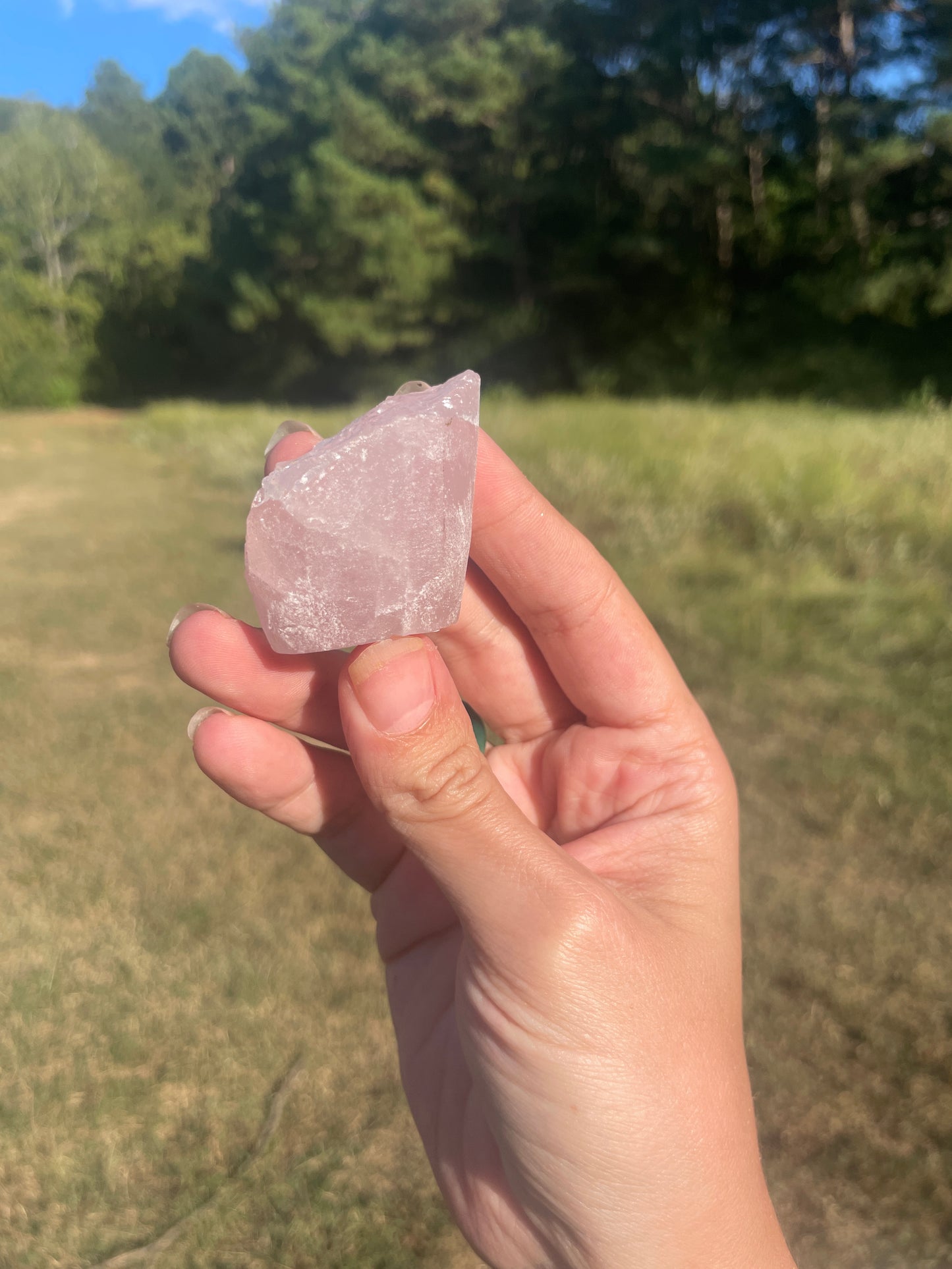 Mini Rose Quartz Rock Buddy #1