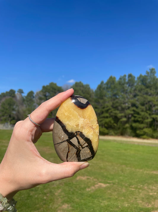 UV reactive Septarian Freeform #5