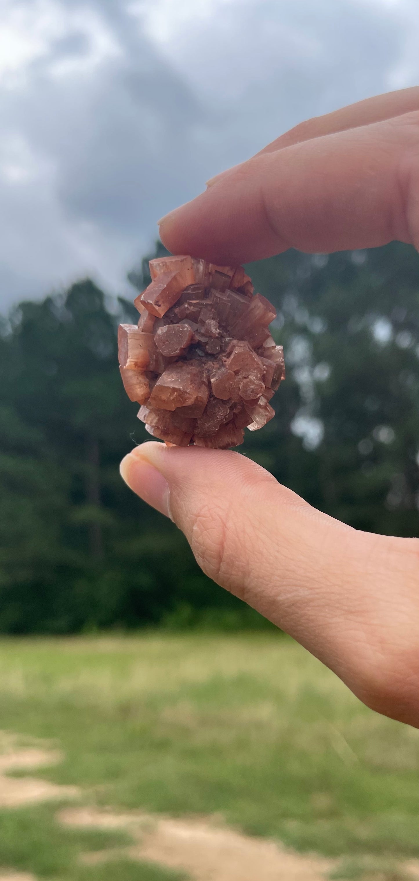 Raw Aragonite Cluster