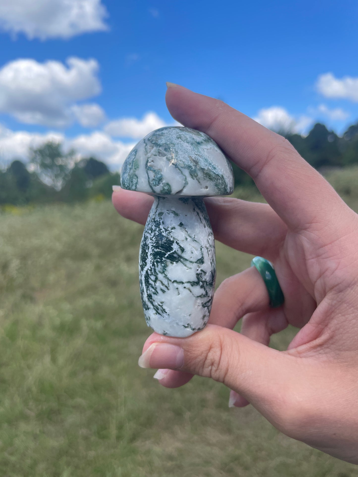 Large Moss Agate Mushroom #1