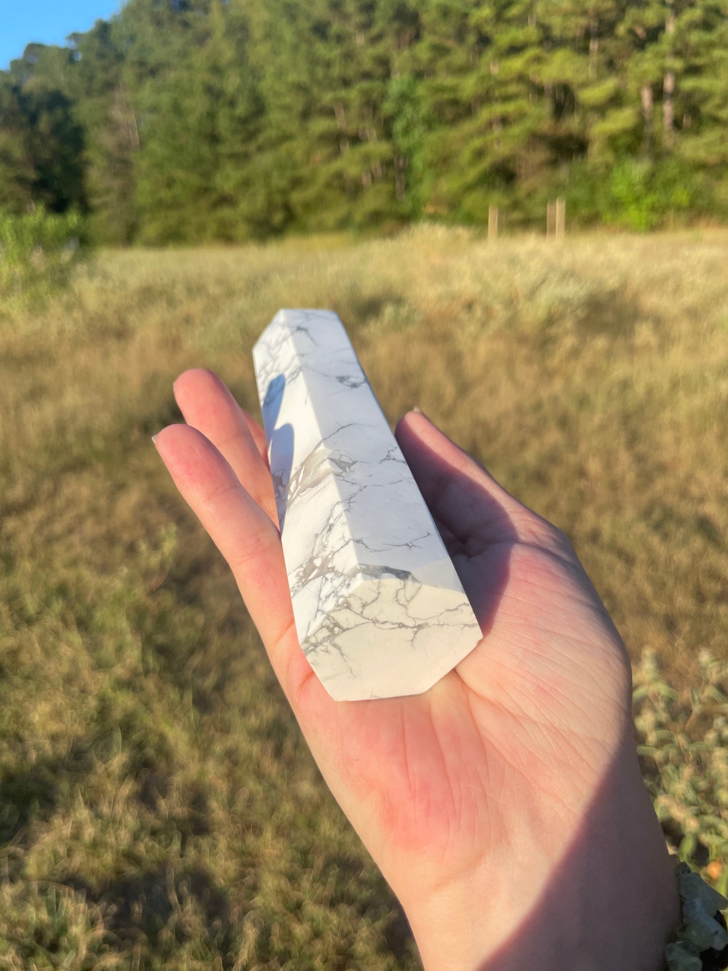 Imperfect Large 1lb Howlite tower #2