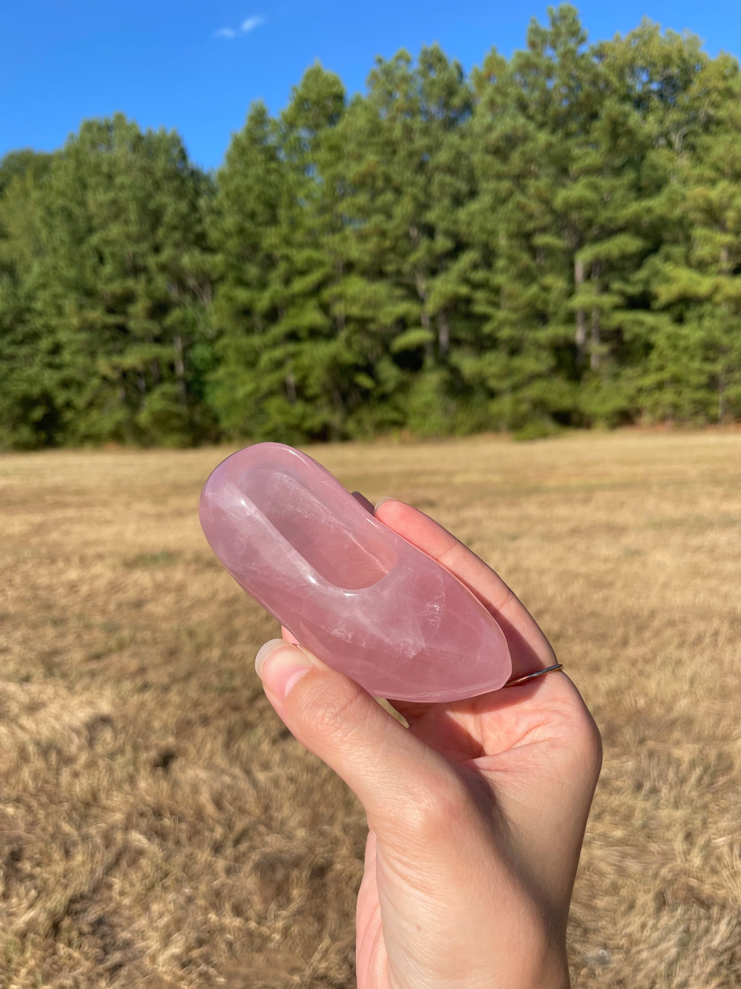 Rose Quartz Barbie/Cinderella Heel