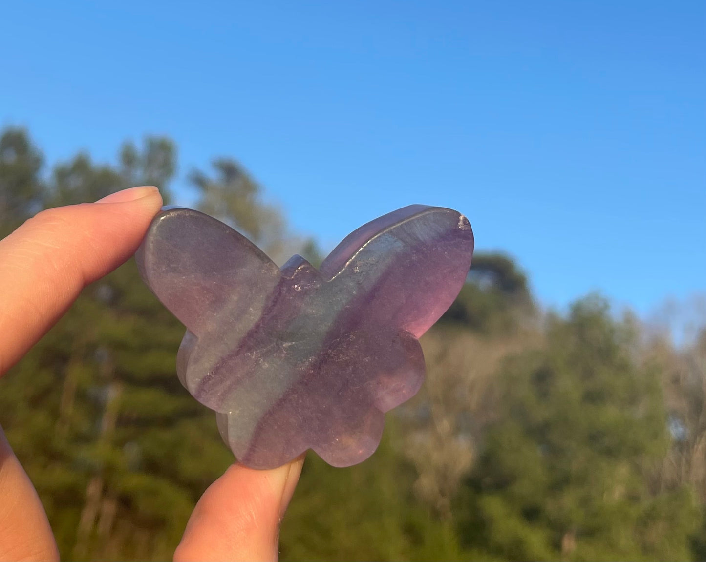 Imperfect Fluorite Butterfly Carving🦋