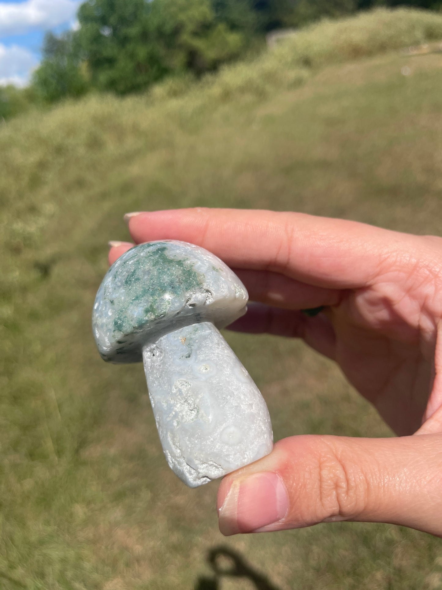 Druzy Large Moss Agate Mushroom #2