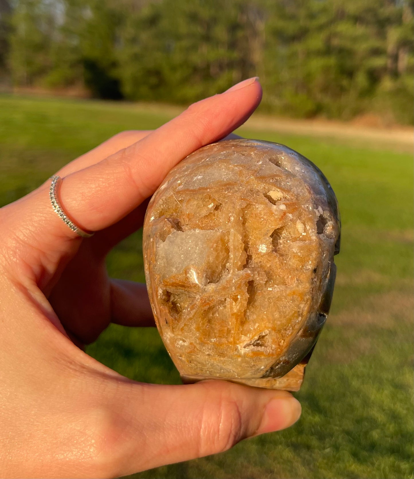 Unknown Material- Gorgeous Druzy Skull🤎