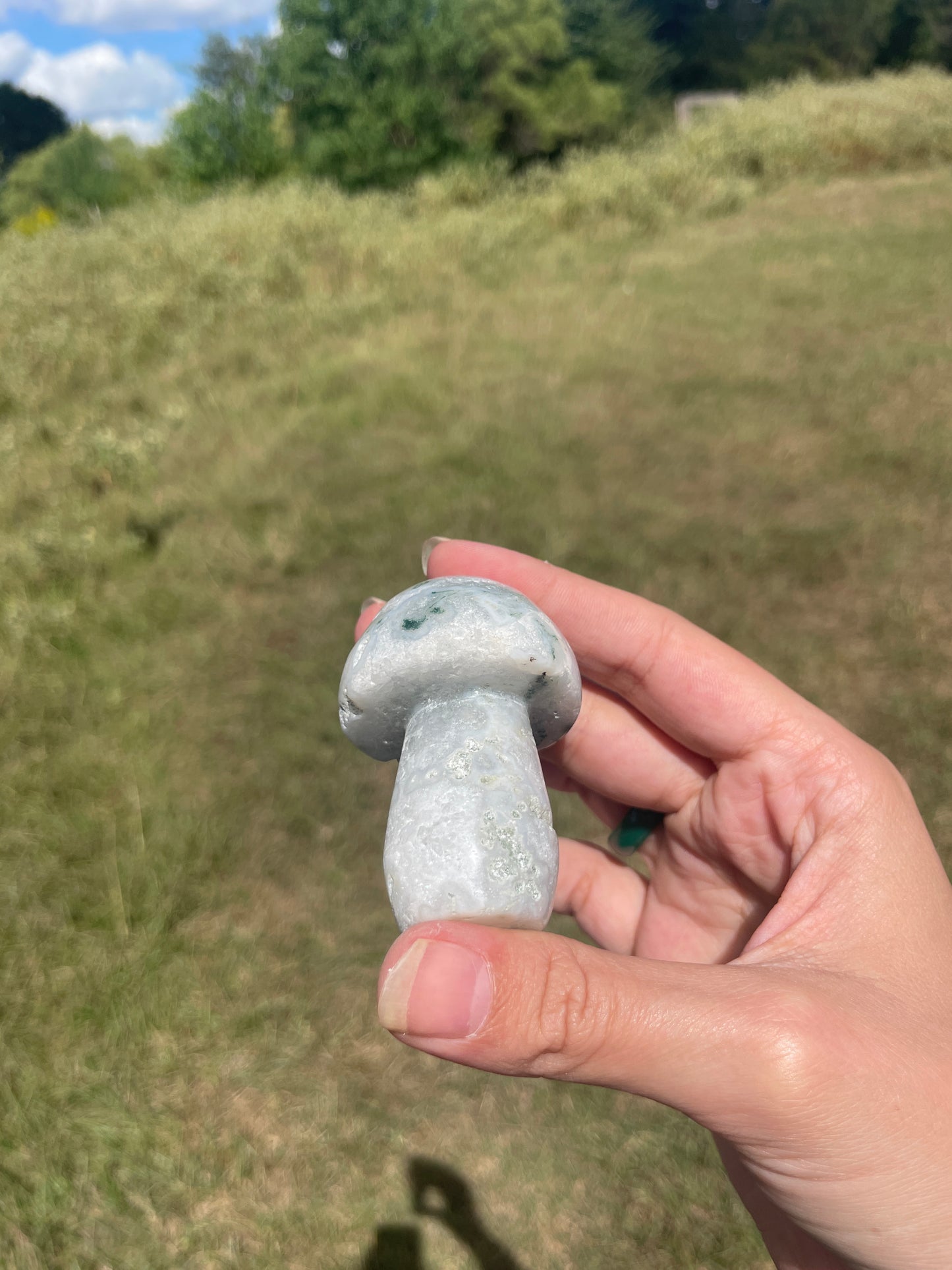 Druzy Large Moss Agate Mushroom #2