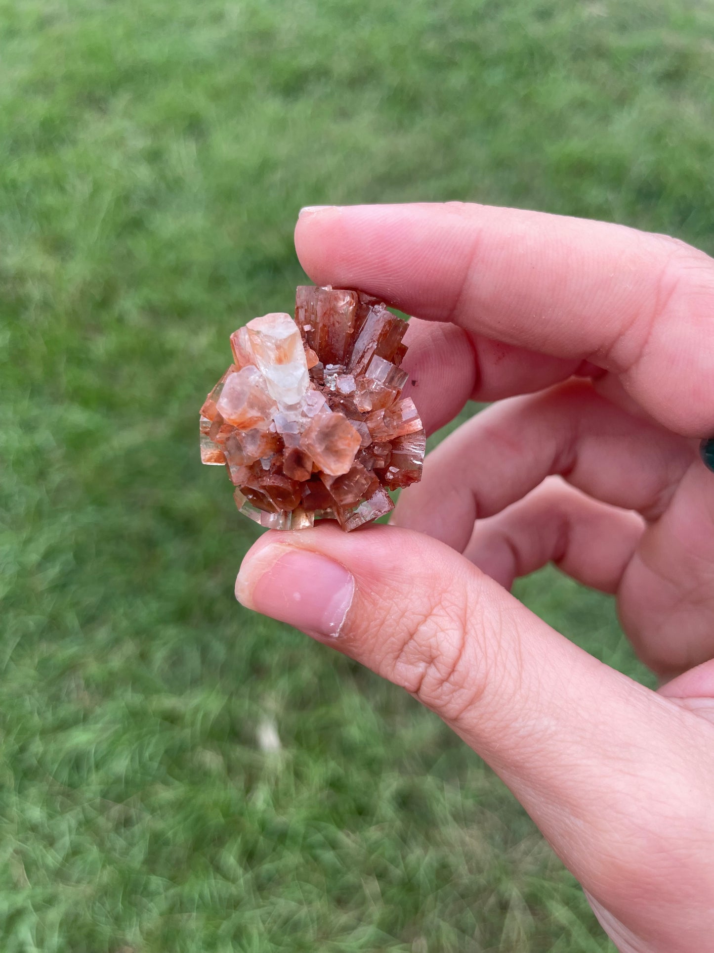 Raw Aragonite Cluster